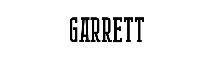 BerlinEmailSerifSemibold  Free Fonts Download