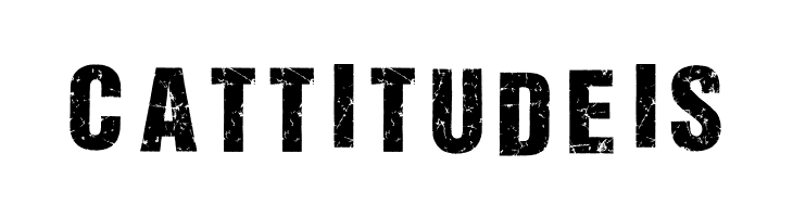 ALL AGES DEMO Bold Italic  Free Fonts Download