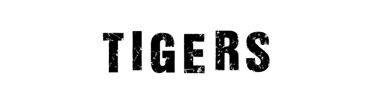 ALL AGES DEMO Bold Italic  Free Fonts Download