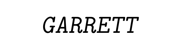 LMMonoSlant10-Regular  Free Fonts Download