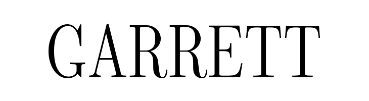 LMRomanDunh10-Regular  Free Fonts Download