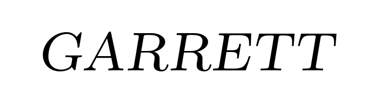 LMRomanSlant8-Regular  Free Fonts Download