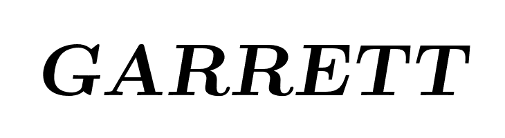 LMRomanSlant10-Bold  Free Fonts Download