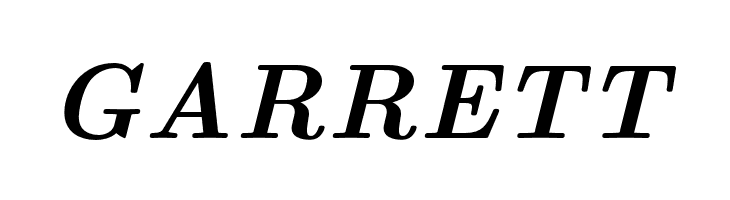 LMRoman10-BoldItalic  Free Fonts Download