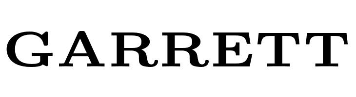 LMRoman6-Bold  Free Fonts Download