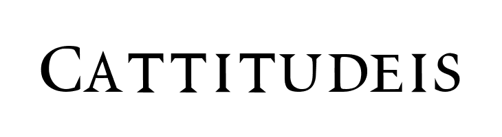 VTCSwitchbladeRomance  Free Fonts Download