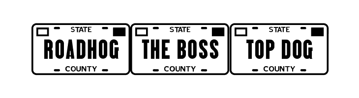 Vanity Plates JL  Free Fonts Download