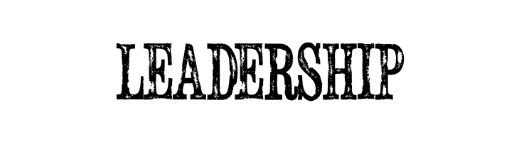 SerialPublicationDemo  Free Fonts Download