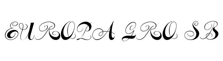 ConstanzeInitials  Free Fonts Download
