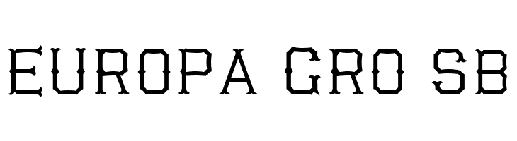 Richardson Fancy Block  Free Fonts Download