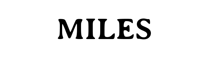 AveriaSerif-Bold  Free Fonts Download