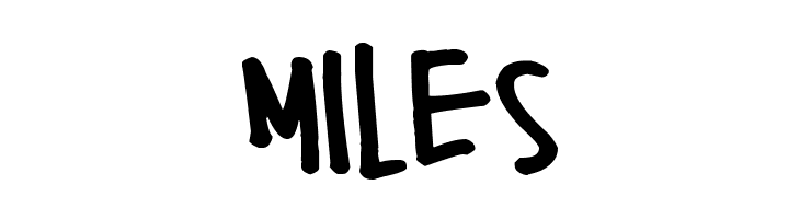 Pea Heidi Jo Bold  Free Fonts Download