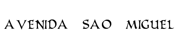 PR Uncial Alt Caps  Free Fonts Download