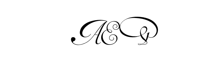 Van den Velde Script  Free Fonts Download