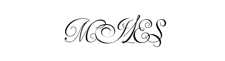 Van den Velde Script  Free Fonts Download