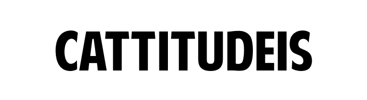 American Purpose  Free Fonts Download