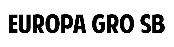 American Purpose  Free Fonts Download