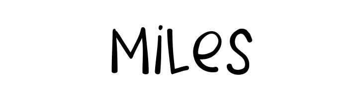 Rafa Px  Free Fonts Download