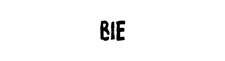 ProtestPaintBB  Free Fonts Download