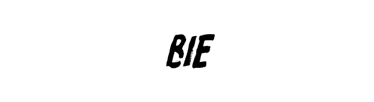 ProtestPaint BB Italic  Free Fonts Download