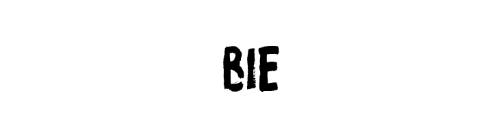 ProtestPaint BB  Free Fonts Download