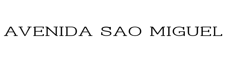 Street Slab Fine Expanded  Free Fonts Download