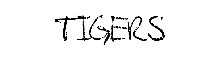 Palafotz  Free Fonts Download