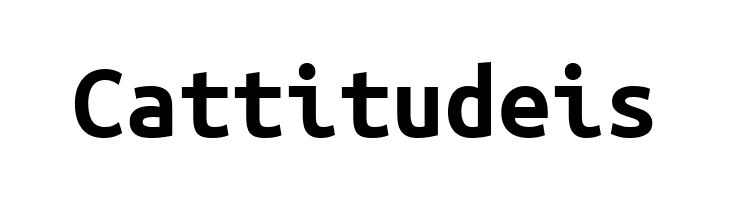 Ubuntu Mono Bold  Free Fonts Download