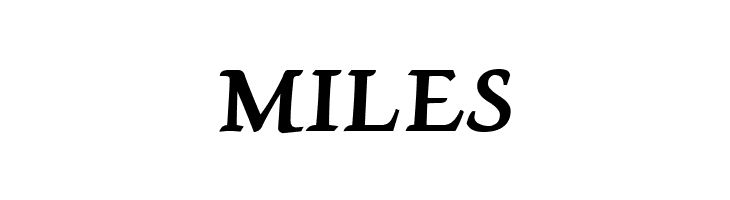 Lekhana Bold  Free Fonts Download