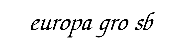 Lekhana Italic  Free Fonts Download