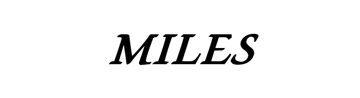 Lekhana Bold Italic  Free Fonts Download