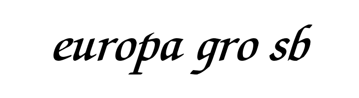 Lekhana Bold Italic  Free Fonts Download