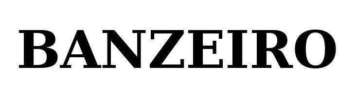 Verajja Serif Bold  Free Fonts Download