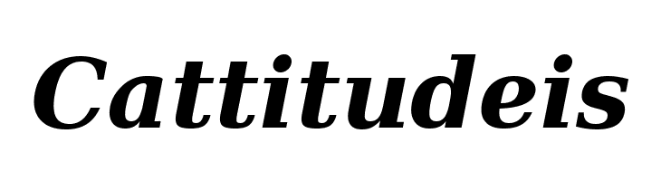 Verajja Serif Bold Italic  Free Fonts Download