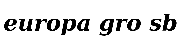 Verajja Serif Bold Italic  Free Fonts Download