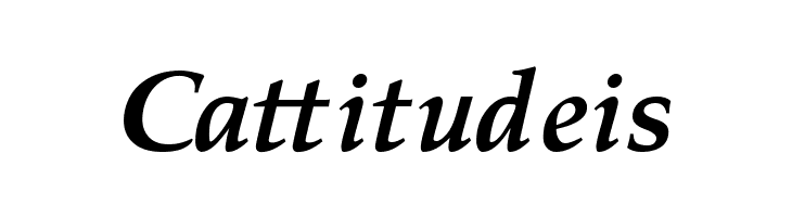 Pali Bold Italic  Free Fonts Download