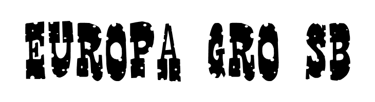 Gringo Nights  Free Fonts Download
