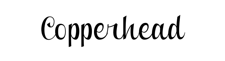 Clipper Script Fat [Personal Use]  Free Fonts Download