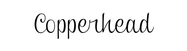 Clipper Script [Personal Use]  Free Fonts Download