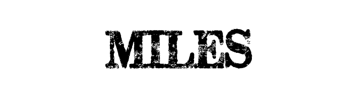 Subway Novella  Free Fonts Download