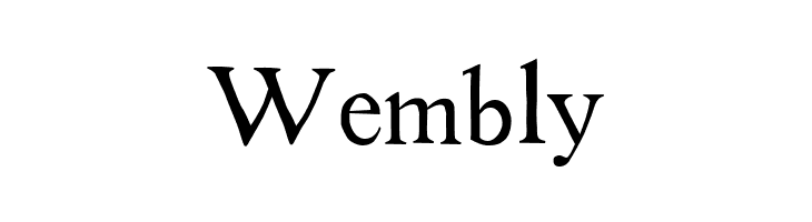 Tom's New Roman  Free Fonts Download