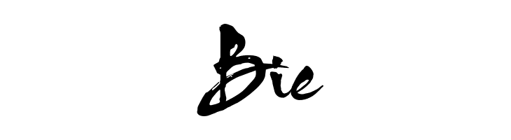 HL Thu phap  Free Fonts Download