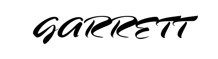 HL Brush 2BK  Free Fonts Download