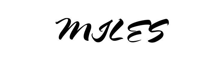 HL Brush 2BK  Free Fonts Download