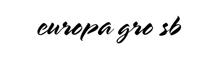 HL Brush 2BK  Free Fonts Download