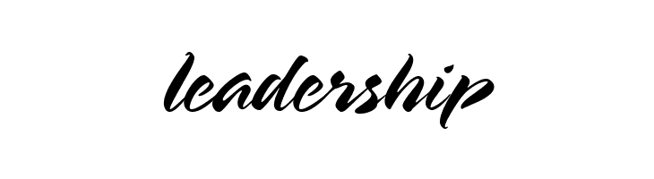 HL Brush 2BK  Free Fonts Download