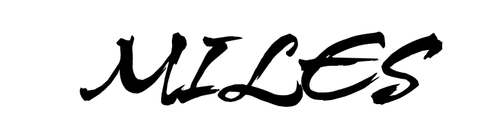 HL Netbutlong  Free Fonts Download