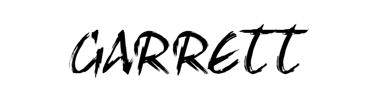 HL Brush 1BK  Free Fonts Download