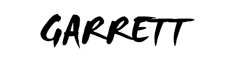 HL Brush 3BK  Free Fonts Download