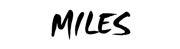 HL Brush 3BK  Free Fonts Download